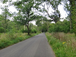 P2011DSC02406	Following roads east-northeastwards towards Attleborough.