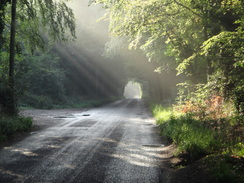 P2011DSC02560	Crepuscular rays.