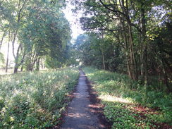 P2011DSC02574	Heading south along the Peddars Way towards Knettishall Heath.