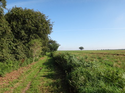 P2011DSC02582	Heading south along the Peddars Way towards Knettishall Heath.