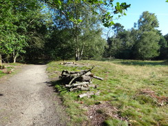 P2011DSC02588	Heading south along the Peddars Way towards Knettishall Heath.