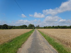 P2011DSC02620	The road leading east towards Lodge Farm.