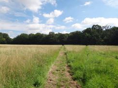 P2011DSC02649	The path on Thelnetham Fen.