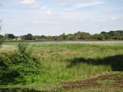 P2011DSC02679	The path past Redgrave Fen.