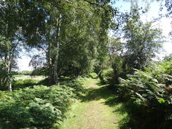 P2011DSC02685	The path past Redgrave Fen.