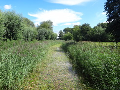 P2011DSC02697	The River Waveney.