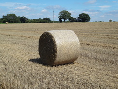 P2011DSC02705	A hay bail near Dashes Farm.