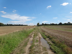 P2011DSC02711	The path leading towards Wortham Church.