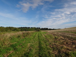 P2011DSC02794	The patrh heading north towards Biscathorpe Church.