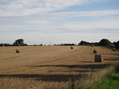 P2011DSC02802	Heading north along the road from Biscathorpe towards the A157.