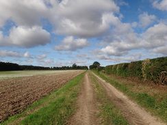 P2011DSC02817	The track heading west towards Girsby Top Farm.