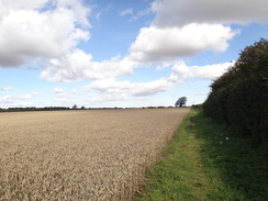 P2011DSC02833	The path heading north out of Ludford.