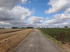 P2011DSC02836	The track leading west from the B1225.