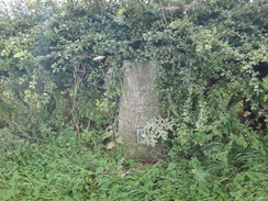 P2011DSC02842	Spring Banks Trig Pillar.