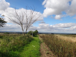 P2011DSC02843	The path leading down into Tealby.