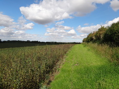 P2011DSC02848	The path leading down into Tealby.