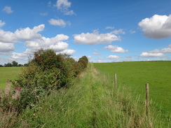 P2011DSC02852	The path leading down into Tealby.