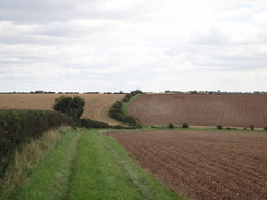 P2011DSC02903	The track leading east from East Wykeham.