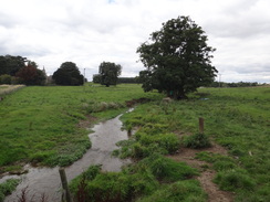 P2011DSC02935	A stream near Biscathorpe church.