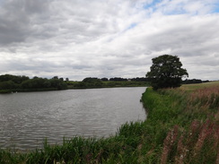 P2011DSC02943	Biscathorpe lake.