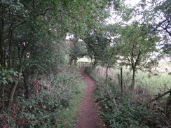 P2011DSC02998	Following the trail north out from Tealby.