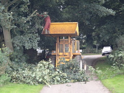 P2011DSC03043	Tree pruning outside Normanby le Wold.