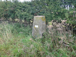 P2011DSC03054	The trig pillar at Lincolnshire's highest point.