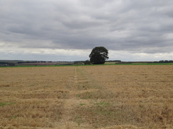 P2011DSC03101	The path leading north out of Caistor.