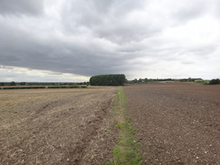 P2011DSC03116	The path leading west from Clixby.