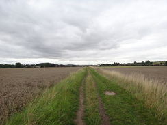 P2011DSC03149	The path leading to Barnetby le Wold.