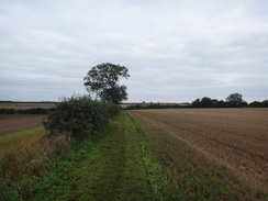 P2011DSC03173	Following the path back northwestwards back towards the A15(T).