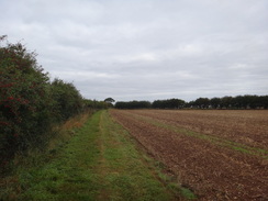 P2011DSC03175	Following the path back northwestwards back towards the A15(T).