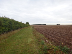 P2011DSC03180	Following the path back northwestwards back towards the A15(T).