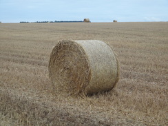 P2011DSC03186	A hay bail on Horkstow Wolds.