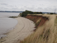 P2011DSC03223	South Ferriby Cliff.