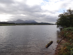 P2011DSC03488	The foreshore of Loch Lochy.