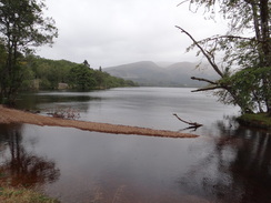 P2011DSC03498	The foreshore of Loch Lochy.