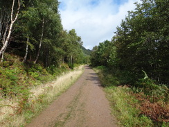 P2011DSC03527	Following the track northeastwards along the northern shore of Loch Lochy.