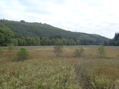 P2011DSC03586	Marshland at the south end of Loch Oich.