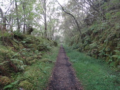 P2011DSC03594	Following the railway trackbed north from Invergarry railway station.