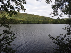 P2011DSC03596	A view over Loch Oich.