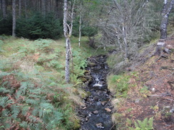 P2011DSC03811	The Allt Coinneag.