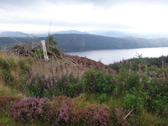 P2011DSC03861	Looking down over Loch Ness.