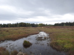 P2011DSC03884	Moorland beside the road.