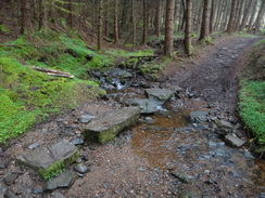 P2011DSC03999	A ford over a stream.