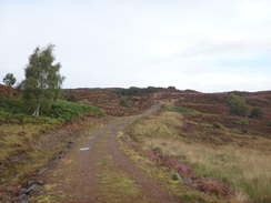 P2011DSC04020	The track heading north across the moorland past Corryfoyness.