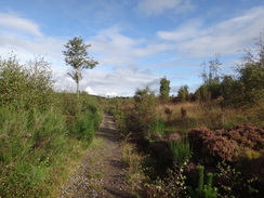 P2011DSC04047	The path heading north past Caiplich Farm.