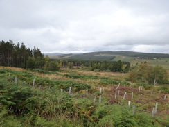 P2011DSC04072	Following the road north from Tomachoin.