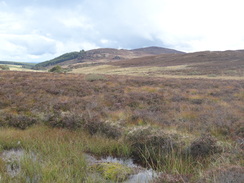 P2011DSC04080	A view across the moorland.