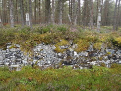 P2011DSC04110	An old stone wall beside the path.